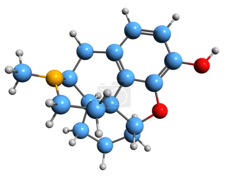 Foto de Imagen 3D de la fórmula esquelética de Levorphanol - estructura química molecular de la medicación opioide aislada sobre fondo blanco - Imagen libre de derechos