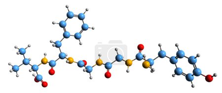 Foto de Imagen 3D de la fórmula esquelética de Leu-enkephalin - estructura química molecular del neurotransmisor endógeno del péptido opioide aislado sobre fondo blanco - Imagen libre de derechos