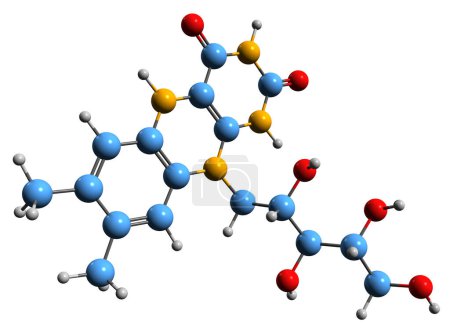Foto de Imagen 3D de la fórmula esquelética de leucoriboflavina - estructura química molecular del suplemento dietético aislado sobre fondo blanco - Imagen libre de derechos