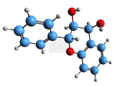 Foto de Imagen 3D de la fórmula esquelética de Leucoantocianidina - estructura química molecular del flavan diol aislado sobre fondo blanco - Imagen libre de derechos