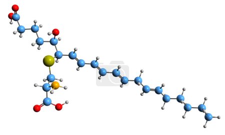 Foto de Imagen 3D de la fórmula esquelética de Leucotrieno E4: estructura química molecular del mediador inflamatorio eicosanoide aislado sobre fondo blanco - Imagen libre de derechos