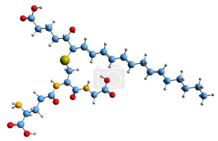 Foto de Imagen 3D de la fórmula esquelética de Leucotrieno C4 - estructura química molecular del mediador inflamatorio eicosanoide aislado sobre fondo blanco - Imagen libre de derechos