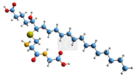 Photo for 3D image of Leukotriene D4 skeletal formula - molecular chemical structure of  eicosanoid inflammatory mediator isolated on white background - Royalty Free Image