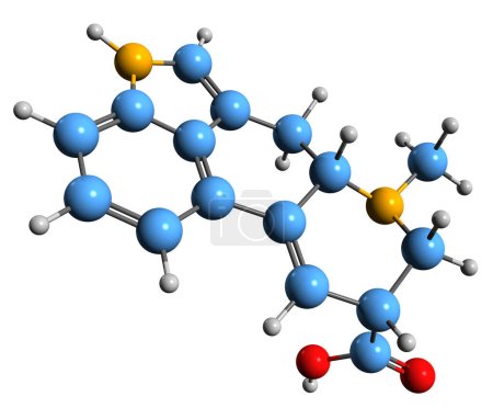 Foto de Imagen 3D de la fórmula esquelética de ácido lisérgico - estructura química molecular de los alcaloides ergolínicos precursores aislados sobre fondo blanco - Imagen libre de derechos