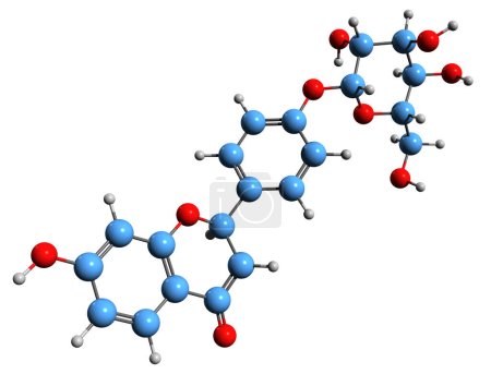 Foto de Imagen 3D de la fórmula esquelética de Liquiritina - estructura química molecular de Liquiritósido aislada sobre fondo blanco - Imagen libre de derechos