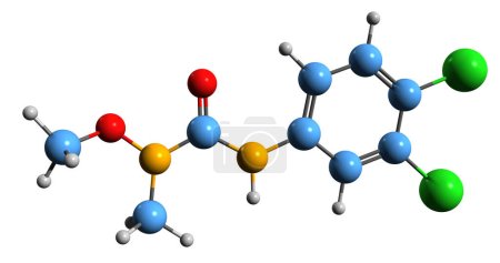 Foto de Imagen 3D de la fórmula esquelética de Linuron - estructura química molecular del herbicida de fenilurea aislado sobre fondo blanco - Imagen libre de derechos