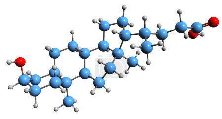 Photo for 3D image of Lithocholic acid skeletal formula - molecular chemical structure of bile acid LCA isolated on white background - Royalty Free Image