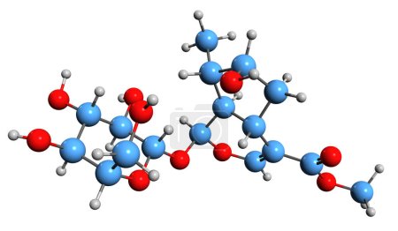 Photo for 3D image of Loganin skeletal formula - molecular chemical structure of iridoid glycoside Loganoside isolated on white background - Royalty Free Image