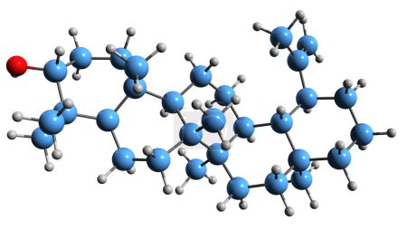 Foto de Imagen 3D de la fórmula esquelética de Lupeol - estructura química molecular del triterpenoide pentacíclico Clerodol aislado sobre fondo blanco - Imagen libre de derechos