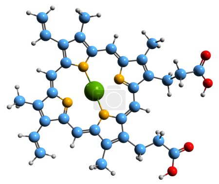 Téléchargez les photos : Image 3D de la formule squelettique de la protoporphyrine de magnésium - structure chimique moléculaire de la porphyrine PPIX isolée sur fond blanc - en image libre de droit