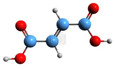 Téléchargez les photos : Image 3D de la formule squelettique de l'acide maléique - structure chimique moléculaire de l'acide cis-buténedioïque isolé sur fond blanc - en image libre de droit