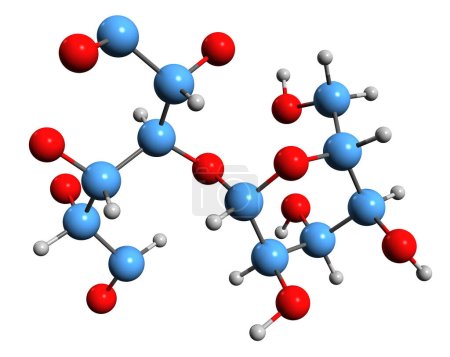 Téléchargez les photos : Image 3D de la formule squelettique de Maltitol - structure chimique moléculaire de l'alcool de sucre isolé sur fond blanc - en image libre de droit