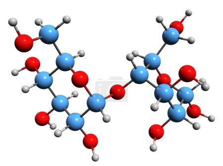 Foto de Imagen 3D de la fórmula esquelética de la maltosa: estructura química molecular de la maltobiosa disacárida aislada sobre fondo blanco - Imagen libre de derechos