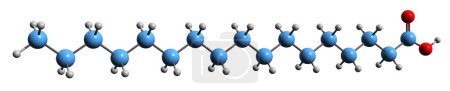 Téléchargez les photos : Image 3D de la formule squelettique de l'acide marginarique - structure chimique moléculaire de l'acide heptadécanoïque isolé sur fond blanc - en image libre de droit