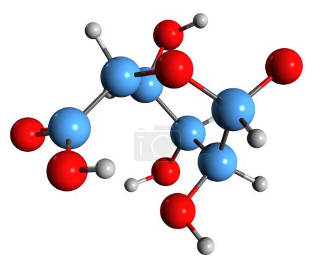 Foto de Imagen 3D de la fórmula esquelética del ácido mannurónico - estructura química molecular del monosacárido de ácido urónico aislado sobre fondo blanco - Imagen libre de derechos