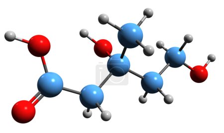 Foto de Imagen 3D de la fórmula esquelética del ácido mevalónico - estructura química molecular de la dihidroximetilvalerolactona aislada sobre fondo blanco - Imagen libre de derechos