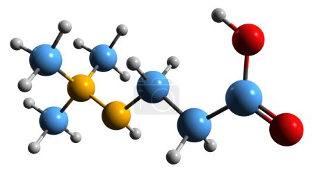 Foto de Imagen 3D de la fórmula esquelética de Meldonium: estructura química molecular de productos farmacéuticos de mercado limitado aislados sobre fondo blanco - Imagen libre de derechos