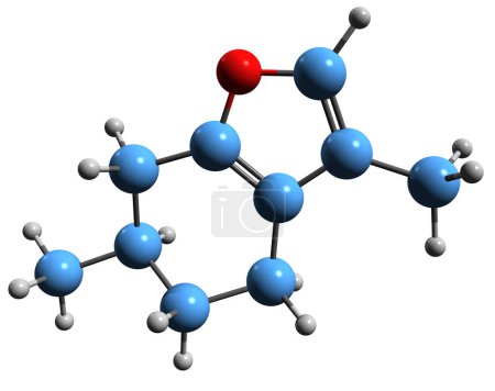 Photo for 3D image of Menthofuran skeletal formula - molecular chemical structure of hepatotoxic phytochemical isolated on white background - Royalty Free Image