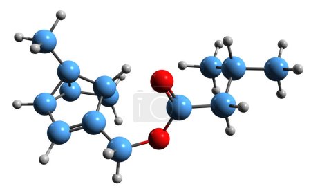 Foto de Imagen 3D de la fórmula esquelética del isovalerianato de mertenilo - estructura química molecular de la valeriana fitoquímica aislada sobre fondo blanco - Imagen libre de derechos
