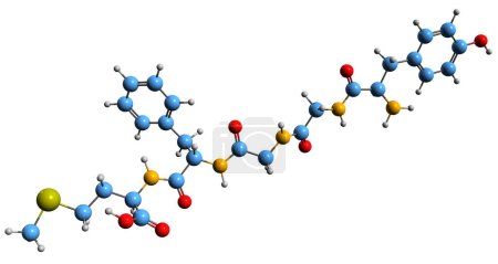 Foto de Imagen 3D de la fórmula esquelética de Met-enkephalin - estructura química molecular del factor de crecimiento de opioides aislado sobre fondo blanco - Imagen libre de derechos