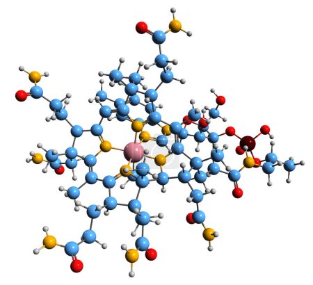 Foto de Imagen 3D de la fórmula esquelética de metilcobalamina - estructura química molecular de la vitamina B12 aislada sobre fondo blanco - Imagen libre de derechos