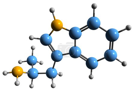 Foto de Imagen 3D de la fórmula esquelética alfa-metiltriptamina - estructura química molecular del estimulante psicodélico aislado sobre fondo blanco - Imagen libre de derechos