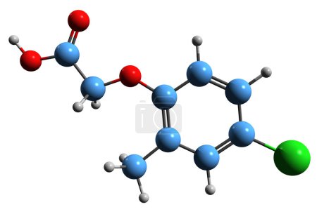 Téléchargez les photos : Image 3D de la formule squelettique de l'acide méthylchlorophénoxyacétique structure chimique moléculaire de l'auxine synthétique isolée sur fond blanc - en image libre de droit