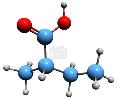 Téléchargez les photos : Image 3D de la formule squelettique de l'acide méthyl-éthyl-acétique - structure chimique moléculaire du composé organique isolé sur fond blanc - en image libre de droit