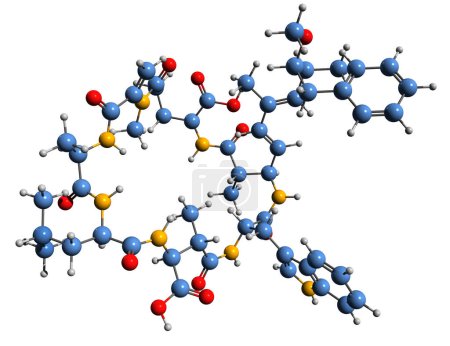 Téléchargez les photos : Image 3D de la formule squelettique de Microcystin LW - structure chimique moléculaire de la toxine cyanoginosine LW isolée sur fond blanc - en image libre de droit