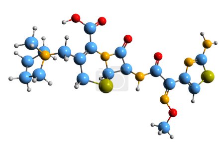 Foto de Imagen 3D de la fórmula esquelética de Cefepime: estructura química molecular del antibiótico de cefalosporina aislado sobre fondo blanco - Imagen libre de derechos