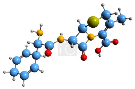 Foto de Imagen 3D de la fórmula esquelética de Cefradine: estructura química molecular del antibiótico de cefalosporina aislado sobre fondo blanco - Imagen libre de derechos