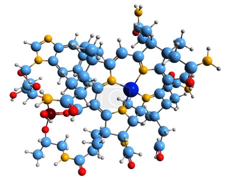  Image 3D de la formule squelettique de la cyanocobalamine - structure chimique moléculaire de la vitamine B12 isolée sur fond blanc
