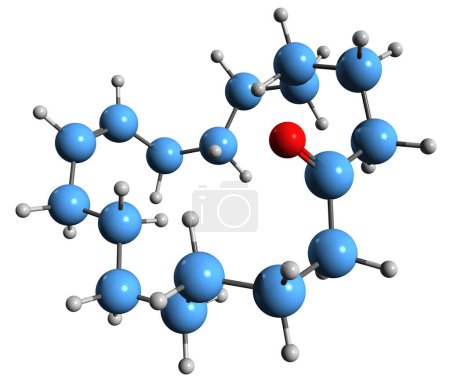 Foto de Imagen 3D de la fórmula esquelética de Civetone - estructura química molecular de Cycloheptadeca-9-en-1-one aislada sobre fondo blanco - Imagen libre de derechos