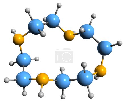 Foto de Imagen 3D de la fórmula esquelética de Cyclen - estructura química molecular del tetrazaciclododecano aislado sobre fondo blanco - Imagen libre de derechos