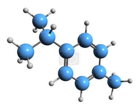 Foto de Imagen 3D de Cymene skeletal formula - estructura química molecular de fitoquímica aislada sobre fondo blanco - Imagen libre de derechos