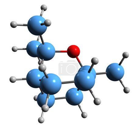 Foto de Imagen 3D de la fórmula esquelética de Eucalyptol - estructura química molecular de Cineole aislada sobre fondo blanco - Imagen libre de derechos
