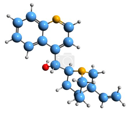 Téléchargez les photos : Image 3D de la formule squelettique de la cinchonine - structure chimique moléculaire de l'alcaloïde isolé sur fond blanc - en image libre de droit