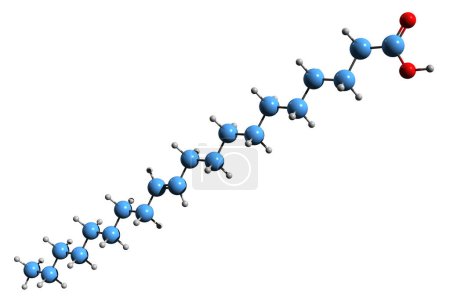 Photo for 3D image of 11-Eicosenoic acid skeletal formula - molecular chemical structure of Gondoic acid isolated on white background - Royalty Free Image