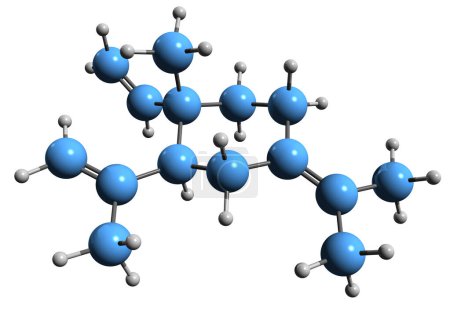 Foto de Imagen 3D de la fórmula esquelética elemental - estructura química molecular de fitoquímica aislada sobre fondo blanco - Imagen libre de derechos