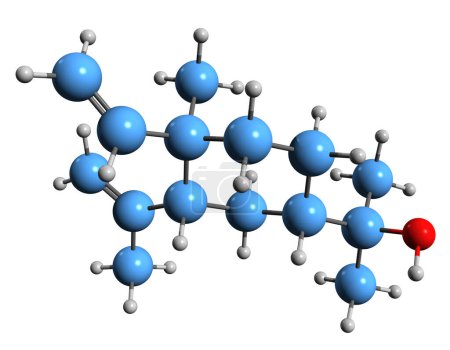 Téléchargez les photos : Image 3D de la formule squelettique Elemol - structure chimique moléculaire du sesquiterpénoïde isolé sur fond blanc - en image libre de droit