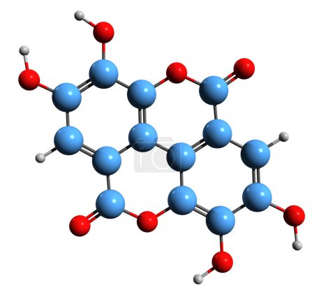 Photo for 3D image of Ellagic acid skeletal formula - molecular chemical structure of  polyphenol isolated on white background - Royalty Free Image