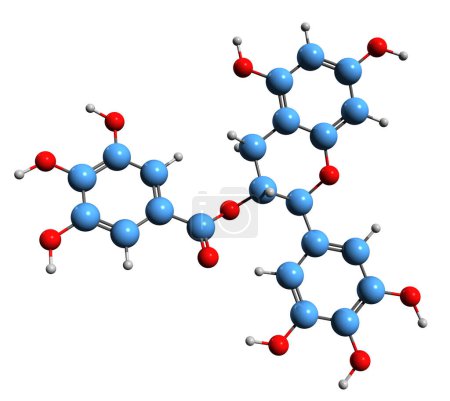 Foto de Imagen 3D de la fórmula esquelética de galato de epigalocatequina - estructura química molecular de epigalocatequina-3-galato aislada sobre fondo blanco - Imagen libre de derechos