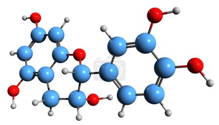 Foto de Imagen 3D de la fórmula esquelética de epicatequina - estructura química molecular del flavan-3-ol aislado sobre fondo blanco - Imagen libre de derechos