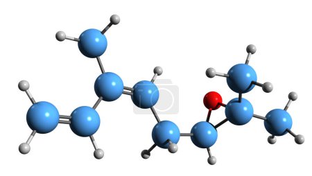 Foto de Imagen 3D de la fórmula esquelética del epóxido de Ocimeno - estructura química molecular del miróxido aislado sobre fondo blanco - Imagen libre de derechos