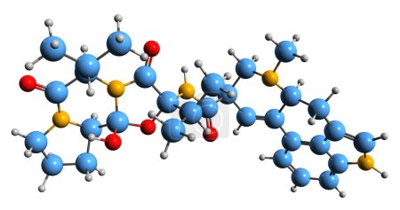 Photo for 3D image of Ergocornine skeletal formula - molecular chemical structure of  ergot alkaloid isolated on white background - Royalty Free Image