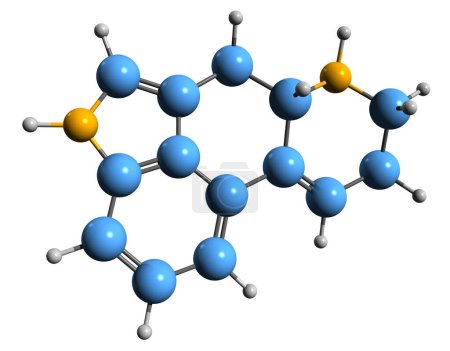 Photo for 3D image of Ergoline skeletal formula - molecular chemical structure of mycototoxin isolated on white background - Royalty Free Image