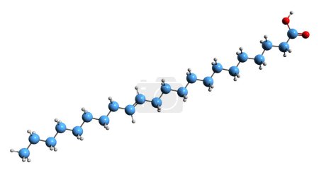 Téléchargez les photos : Image 3D de la formule squelettique de l'acide érucique - structure chimique moléculaire de l'acide gras oméga-9 isolé sur fond blanc - en image libre de droit