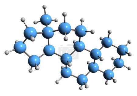 Téléchargez les photos : Image 3D de la formule squelettique d'Estrane - structure chimique moléculaire du dérivé stéroïde C18 isolé sur fond blanc - en image libre de droit