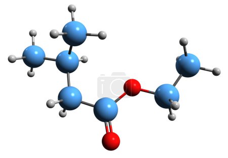 Photo for 3D image of Ethyl isovalerate skeletal formula - molecular chemical structure of Ethyl 3-methylbutanoate isolated on white background - Royalty Free Image