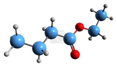 Photo for 3D image of Ethyl butyrate skeletal formula - molecular chemical structure of Butanoic acid ethyl ester isolated on white background - Royalty Free Image